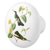 Gem Hummingbird, witte geduroteerde bergmonniksvog Keramische Knop (Rechts)