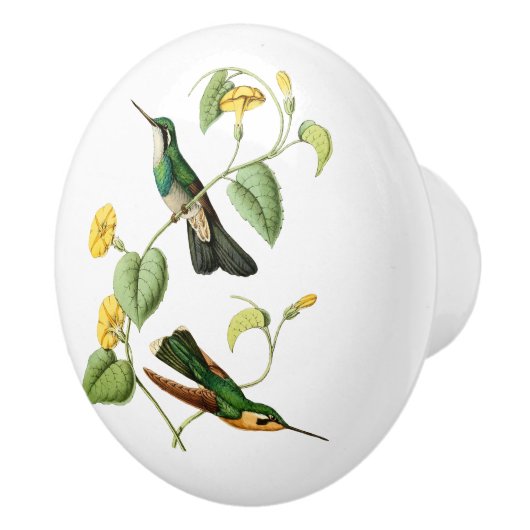 Gem Hummingbird, witte geduroteerde bergmonniksvog Keramische Knop (Rechts)