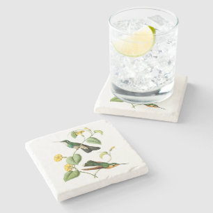 Gem Hummingbird, witte geduroteerde bergmonniksvog Stenen Onderzetter