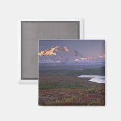 Gemaakt begin september in het Denali National Par Magneet (Voorkant / Achterkant)