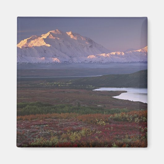 Gemaakt begin september in het Denali National Par Magneet (Voorkant)