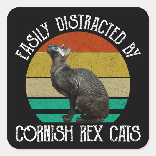 Gemakkelijk Afgeleid Door Cornish Rex Katten Vierkante Sticker (Voorkant)