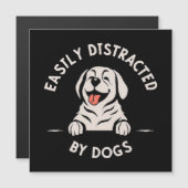 Gemakkelijk afgeleid door honden (Voorkant / Achterkant)