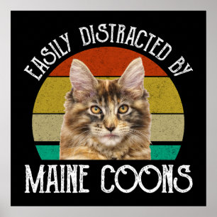 Gemakkelijk afgeleid door Maine Coons Poster