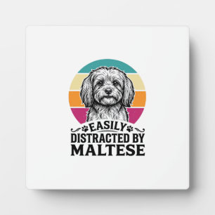 Gemakkelijk Afgeleid Door Maltese Vintage Hond Des Fotoplaat