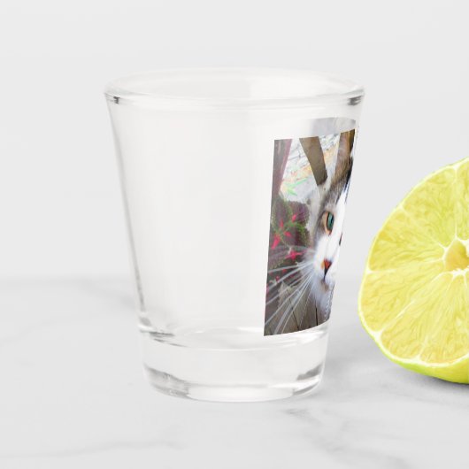 Gemakkelijk Creëer je eigen foto toevoegen Aangepa Shot Glas (Links)