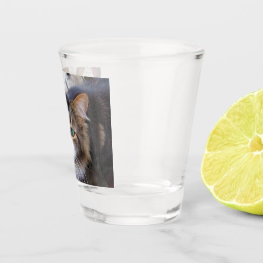 Gemakkelijk Creëer je eigen foto toevoegen Aangepa Shot Glas (Rechts)