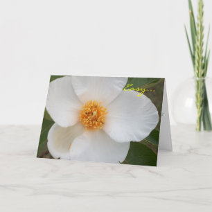 Gemakkelijk is kaart