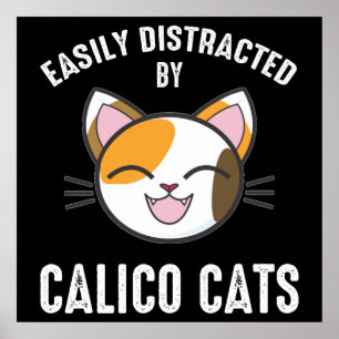 Gemakkelijk verstoord door Calico-katten Poster