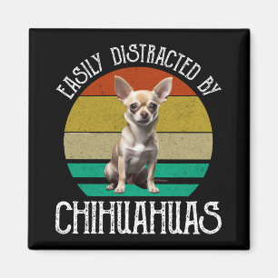Gemakkelijk verstoord door Chihuahuas Magneet