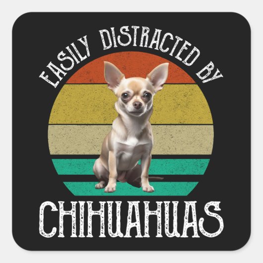 Gemakkelijk verstoord door Chihuahuas Vierkante Sticker (Voorkant)