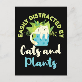 Gemakkelijk verstoord door katten en Planten Kat P Briefkaart