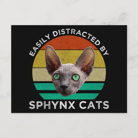 Gemakkelijk verstoord door synxkatten briefkaart (Voorkant)