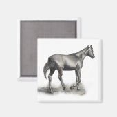 Gemakkelijke middag magneet (Voorkant / Achterkant)