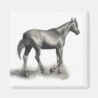 Gemakkelijke middag magneet