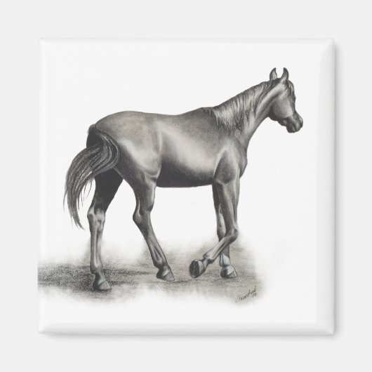 Gemakkelijke middag magneet (Voorkant)