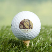 Gemarmerde Agate Close-up Photo Yellow and Red Swi Golfballen (Insitu Shirt)