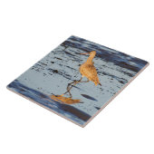 Gemarmerde godmet in de Stille Oceaan Tegeltje (Zijkant)