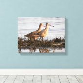 Gemarmerde Grutto's bij Blackie Spit Canvas Afdruk (Insitu (Houten vloer))