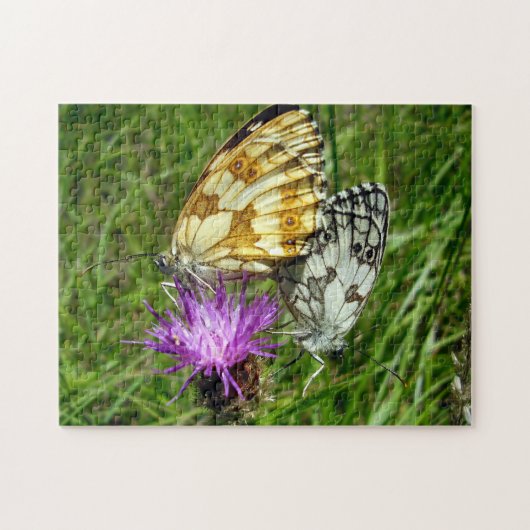 Gemarmerde witte vlinder Foto Puzzle Legpuzzel (Horizontaal)