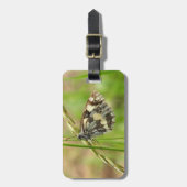 Gemarmerde witte vlinder op gras bagagelabel (Voorkant verticaal)