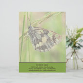 Gemarmerde witte vlinder op gras briefhoofd (Staand voorkant)