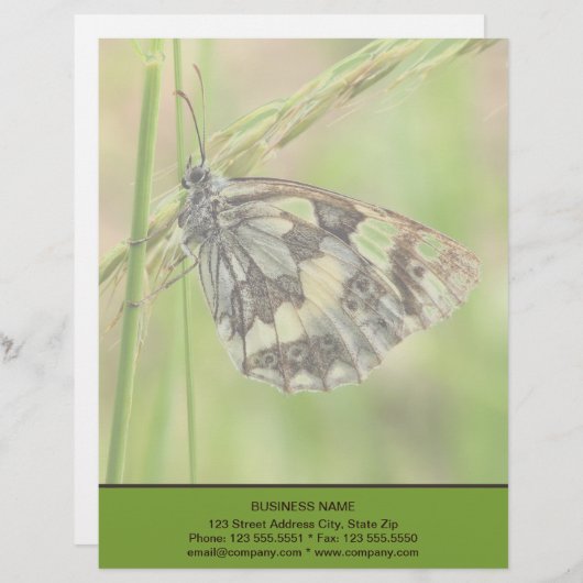 Gemarmerde witte vlinder op gras briefhoofd (Voorkant / Achterkant)