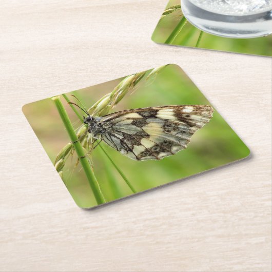 Gemarmerde witte vlinder op gras kartonnen onderzetters (Schuin)