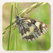 Gemarmerde witte vlinder op gras kartonnen onderzetters (Voorkant)