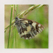 Gemarmerde witte vlinder op gras legpuzzel (Horizontaal)
