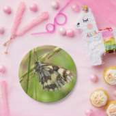 Gemarmerde witte vlinder op gras papieren bordje (Feest)