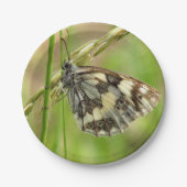 Gemarmerde witte vlinder op gras papieren bordje (Voorkant)