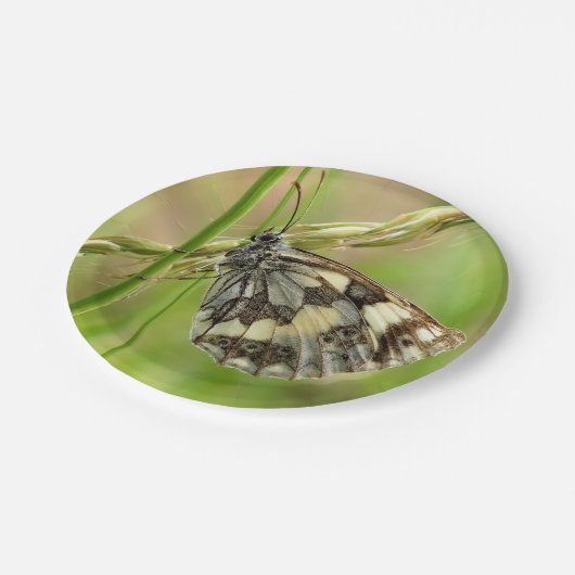 Gemarmerde witte vlinder op gras papieren bordje (Gekanteld)