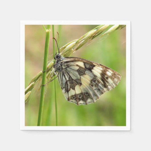 Gemarmerde witte vlinder op gras servet (Voorkant)