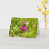 gemarmerde witte vlindernoot kaart (Gele Bloem)