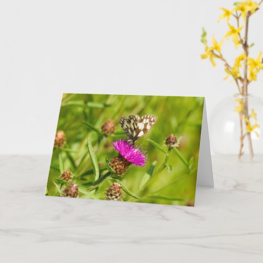 gemarmerde witte vlindernoot kaart (Gele Bloem)