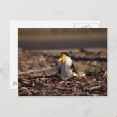 Gemaskerde laptop briefkaart (Voorkant / Achterkant)