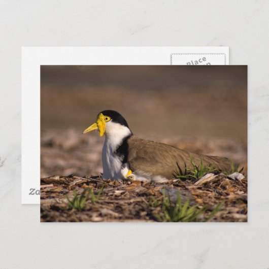 Gemaskerde laptop briefkaart (Voorkant / Achterkant)