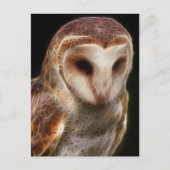 Gemaskerde Owl Fractal Briefkaart (Voorkant)