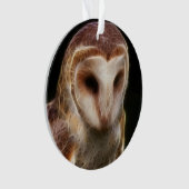 Gemaskerde Owl Fractal Ornament (voorkant)