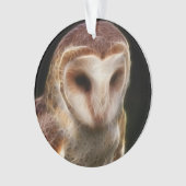 Gemaskerde Owl Fractal Ornament (voorkant)