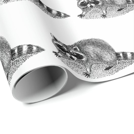 gemaskerde Raccoon Cadeaupapier (Rol Hoek)