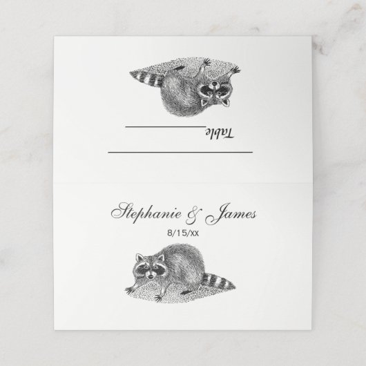  gemaskerde Raccoon Plaatskaartje (Buitenkant ongevouwen)