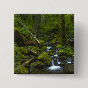 Gematigd regenwoud stroom in Columbia River Vierkante Button 5,1 Cm