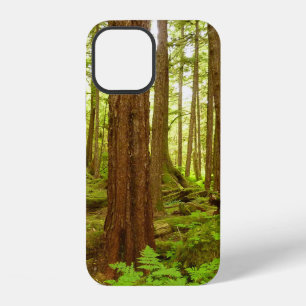 Gematigd regenwoud van Alaska iPhone 12 Hoesje