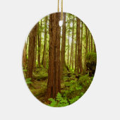 Gematigd regenwoud van Alaska Keramisch Ornament (Rechts)