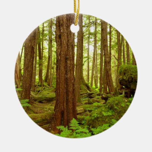 Gematigd regenwoud van Alaska Keramisch Ornament (Voorkant)