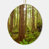 Gematigd regenwoud van Alaska Keramisch Ornament (Links)