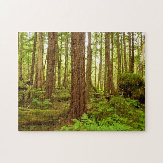 Gematigd regenwoud van Alaska Legpuzzel (Horizontaal)