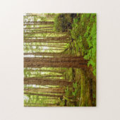 Gematigd regenwoud van Alaska Legpuzzel (Verticaal)